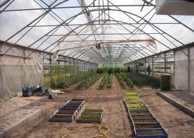 Agriculture Industry Project